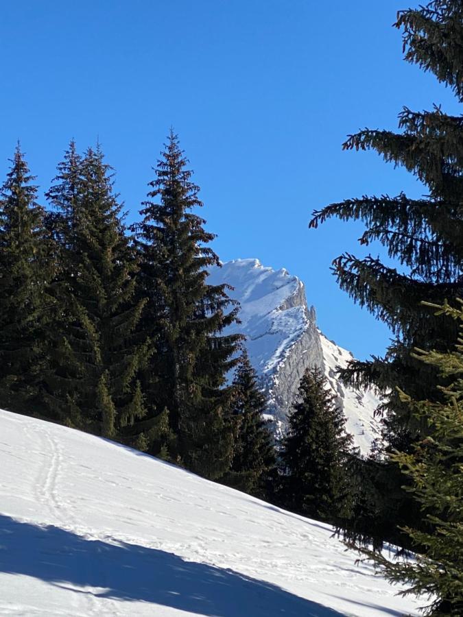 Les Bouquetins La Clusaz Exterior foto