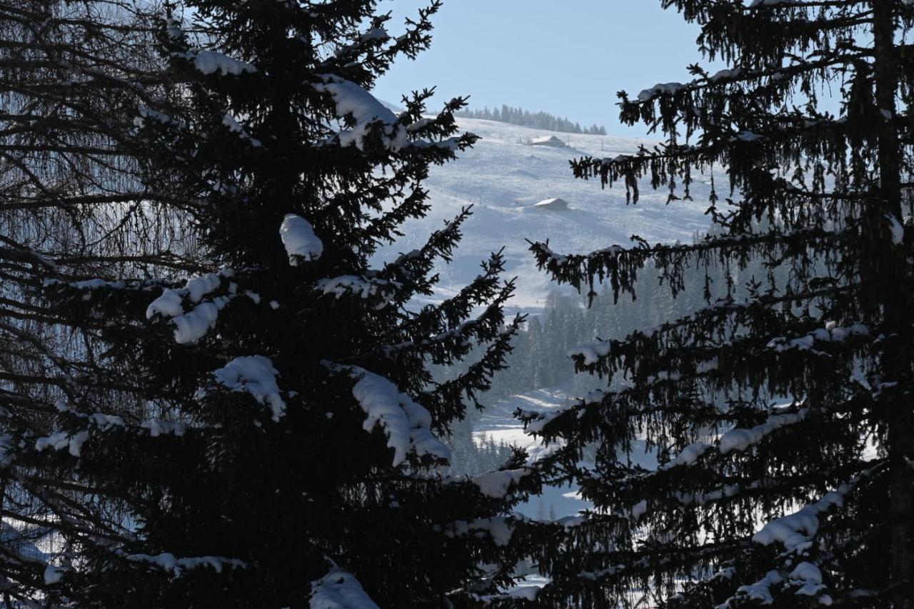 Les Bouquetins La Clusaz Exterior foto